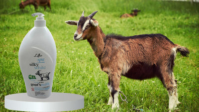 The Science Behind the Benefits of Goat Milk for Body Care