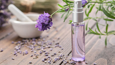 Unleash the Magic of Lavender Essential Oil: Top 7 Ways to Tap into Its Transformative Potential